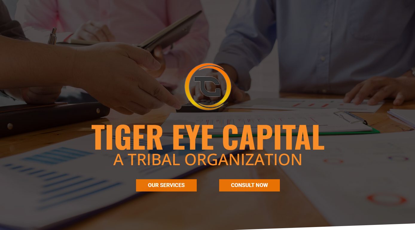 Tiger Eye Capital homepage